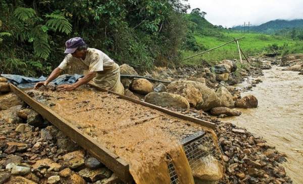 Arco Minero del Orinoco Minería ilegal y minería mortal Analitica