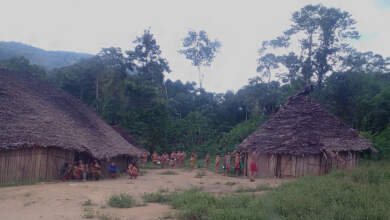 comunidades indígenas