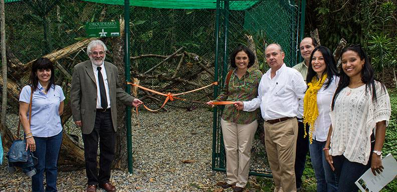 Un total de 30 orquídeas de al menos cinco especies, recuperadas de árboles caídos en el Parque Nacional Waraira Repano, cuentan ahora con un albergue especial en la Universidad Metropolitana