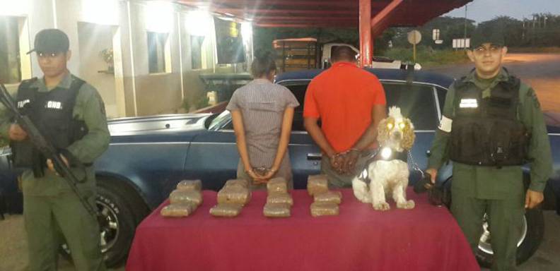 GNB Incautó 7 kilos de “súper marihuana” en Anzoátegui  