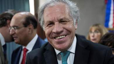 Luis Almagro reelecto secretario general de la OEA