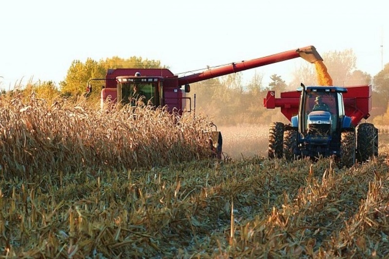 Fedeagro assures that it needs foreign loans to be able to recover the sector |